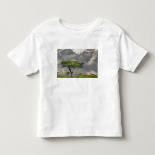 T-shirt Pour Les Tous Petits Acacia tortilis, Acacia tortilis, et 2