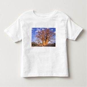 T-shirt Pour Les Tous Petits Afrique, Botswana, delta de l'Okavango. Baobab