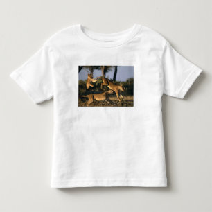 T-shirt Pour Les Tous Petits Afrique, Botswana, Parc national de Chobe, Lionnes