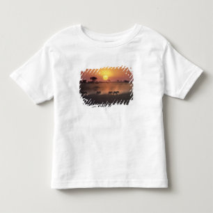 T-shirt Pour Les Tous Petits Afrique, Kenya, Amboseli NP. Zèbres marchent vers 