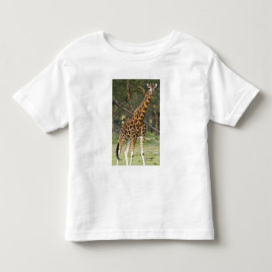 T-shirt Pour Les Tous Petits Afrique. Kenya. Girafe de Rothschild au lac 2