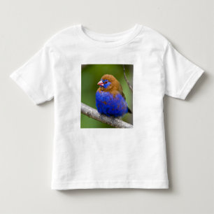 T-shirt Pour Les Tous Petits Afrique. Kenya. Grenadier pourpré