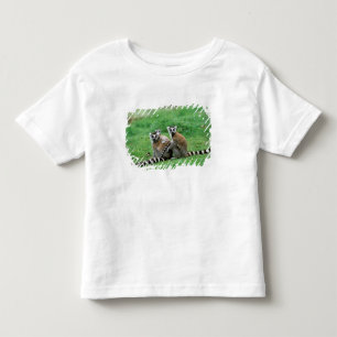 T-shirt Pour Les Tous Petits Afrique, Madagascar, Antananarivo, Tsimbazaza