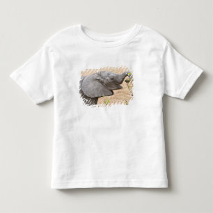 T-shirt Pour Les Tous Petits Afrique. Tanzanie. Jeune éléphant à Tarangire