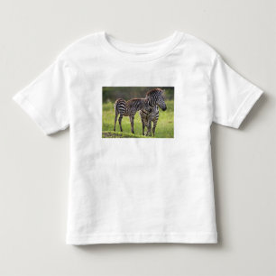 T-shirt Pour Les Tous Petits Afrique. Tanzanie. Mère et bébé zèbre commun