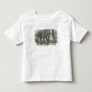 T-shirt Pour Les Tous Petits Afrique. Tanzanie. Mère et jeune zèbre