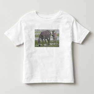 T-shirt Pour Les Tous Petits Afrique. Tanzanie. Mère et petit zèbre