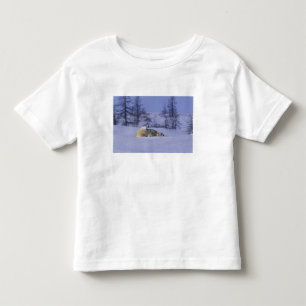 T-shirt Pour Les Tous Petits Amérique du Nord, Canada, Manitoba, Churchill