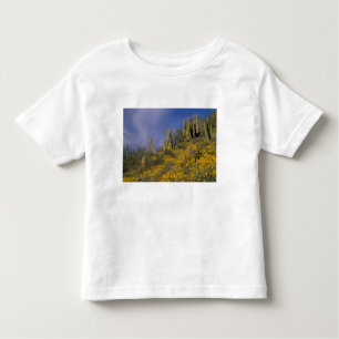 T-shirt Pour Les Tous Petits Amérique du Nord, États-Unis, Arizona, Organ Pipe 