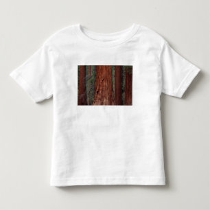 T-shirt Pour Les Tous Petits Amérique du Nord, États-Unis, Californie, Parc nat
