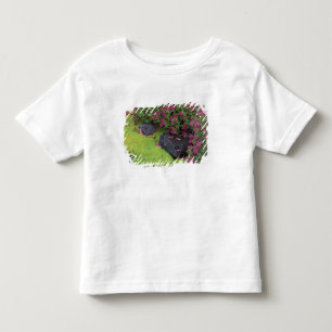 T-shirt Pour Les Tous Petits Amérique du Nord, États-Unis, Washington, Mt. Rain