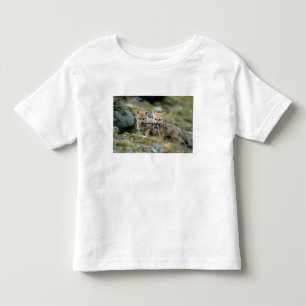 T-shirt Pour Les Tous Petits Amérique du Sud, Chili, Torres del Paine National