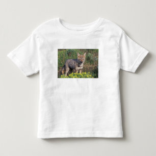 T-shirt Pour Les Tous Petits Amérique du Sud, Chili, Torres del Paine NP,