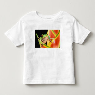 T-shirt Pour Les Tous Petits Amérique du Sud, Équateur, Amazonie. Grenouille ar