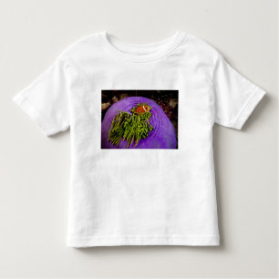 T-shirt Pour Les Tous Petits Anemonefish et grande anémone