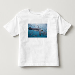 T-shirt Pour Les Tous Petits Antarctique, île de Géorgie du Sud Royaume-Uni