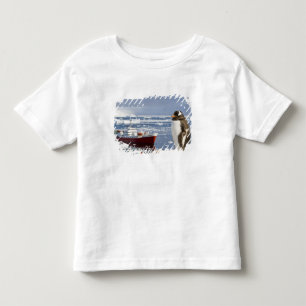 T-shirt Pour Les Tous Petits Antarctique, Neko Cove (Port). Manchot gentoo