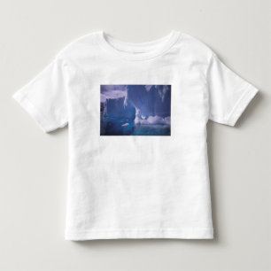 T-shirt Pour Les Tous Petits Antarctique. Paysages glaciaires antarctiques 3