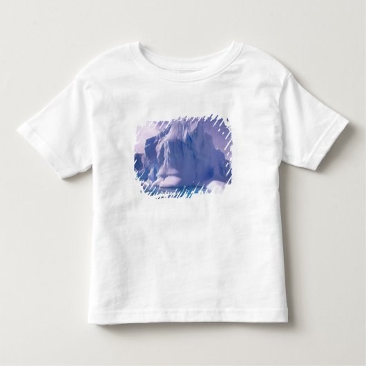 T-shirt Pour Les Tous Petits Antarctique. Sévices de l'Antarctique (Devant)