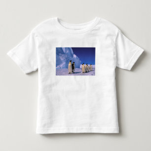 T-shirt Pour Les Tous Petits Antarctique, Territoire antarctique australien, 7