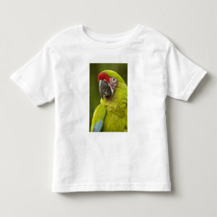 T-shirt Pour Les Tous Petits Ara militaire