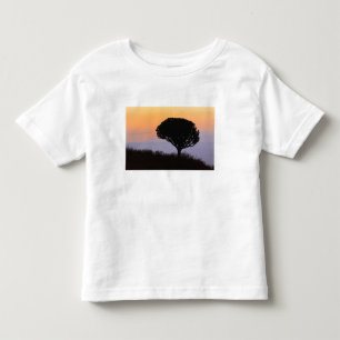 T-shirt Pour Les Tous Petits Arbre candélabre découpé à l'aube,