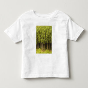 T-shirt Pour Les Tous Petits Arbres de cèdre de Koya Sugi