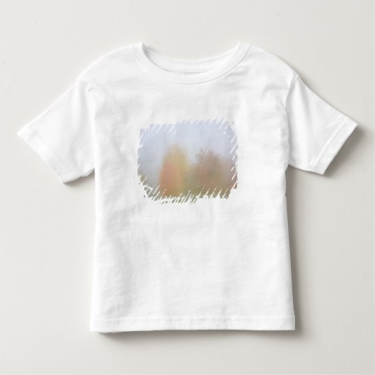 T-shirt Pour Les Tous Petits Arbres de chute enveloppés en brume (Devant)