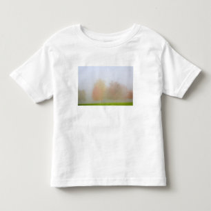 T-shirt Pour Les Tous Petits Arbres de chute enveloppés en brume