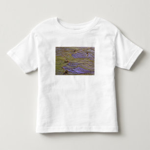 T-shirt Pour Les Tous Petits Asie, Chine, province du Yunnan, Yuanyang. Inondé