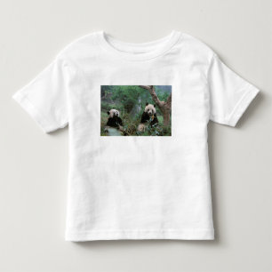 T-shirt Pour Les Tous Petits Asie, Chine, Sanctuaire des pandas géants de Cheng