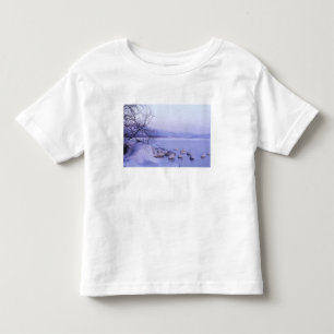 T-shirt Pour Les Tous Petits Asie, Japon, Hokkaido, Parc national d'Akan, Cygne