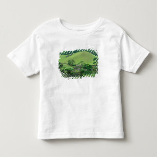 T-shirt Pour Les Tous Petits Asie, Japon, Kumamoto, Suizenji Koen