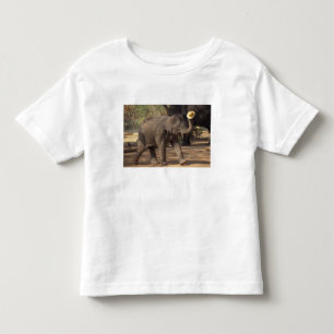 T-shirt Pour Les Tous Petits Asie, Thaïlande, Lampang S'inclinant avec chapeau 