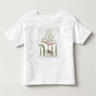 T-shirt Pour Les Tous Petits Asperge commune en fleur et fruit, de 'Ho