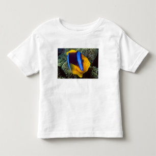 T-shirt Pour Les Tous Petits Australie, Grande Barrière de corail, Poisson-clow