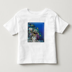 T-shirt Pour Les Tous Petits Banc de rougets autour d'un petit corail