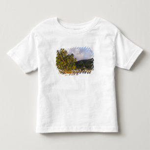 T-shirt Pour Les Tous Petits Bateaux de pêche, Soufriere, Sainte-Lucie, Caraïbe