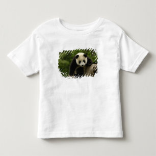 T-shirt Pour Les Tous Petits Bébé panda géant