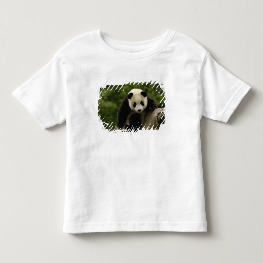 T-shirt Pour Les Tous Petits Bébé panda géant (Devant)