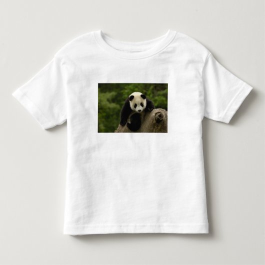 T-shirt Pour Les Tous Petits Bébé panda géant (Devant)