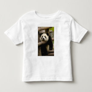 T-shirt Pour Les Tous Petits Bébé panda géant Ailuropoda melanoleuca)