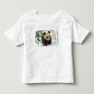T-shirt Pour Les Tous Petits Bébé panda sur la neige, Wolong, Sichuan, Chine