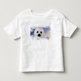 T-shirt Pour Les Tous Petits Bébé phoque sur glace golfe du Saint-Laurent,