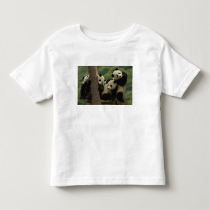T-shirt Pour Les Tous Petits Bébés pandas géants Ailuropoda melanoleuca)