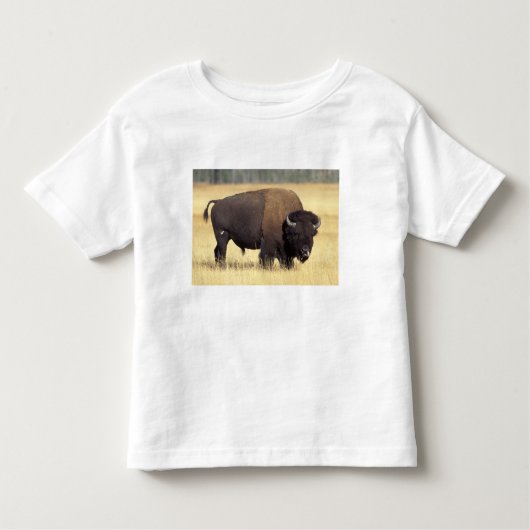 T-shirt Pour Les Tous Petits Bison Bull à Yellowstone National (Devant)