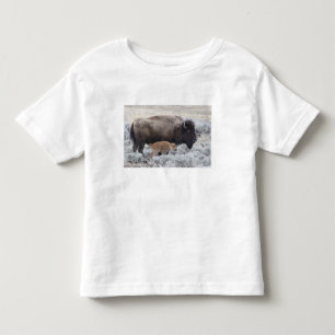 T-shirt Pour Les Tous Petits Bison vache et veau, Yellowstone