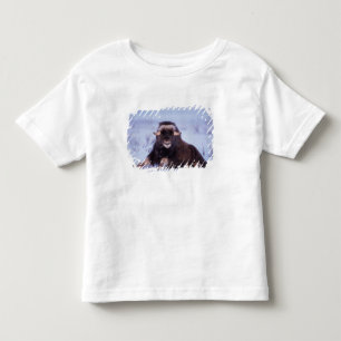 T-shirt Pour Les Tous Petits bœuf musqué, Ovibos moschatus, jeune taureau