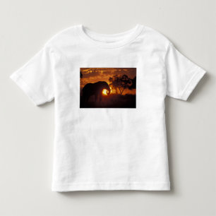 T-shirt Pour Les Tous Petits Botswana, parc national de Chobe, éléphant mâle