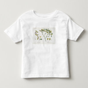 T-shirt Pour Les Tous Petits Bouleau (laissé) et gui (droit), fig. 9 et 10